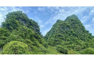 Hoàng Đình Kinh - thủ lĩnh Tày kiên cường