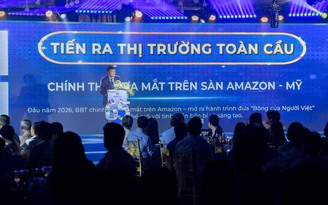 Giấc mơ đưa ‘bông Việt’ vươn ra thế giới của doanh nghiệp 65 tuổi