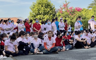 Hơn 2.700 công nhân Panko Vina mất việc: 7 công ty muốn tuyển toàn bộ trước tết