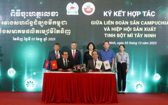 Tây Ninh 'chốt' mua 9 triệu tấn sắn mỗi năm từ Campuchia