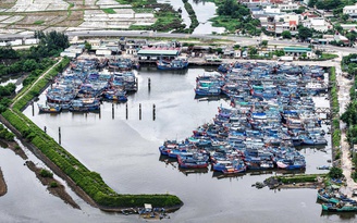 Quảng Ngãi hỗ trợ 20 tỉ đồng cho các chủ tàu cá chuyển đổi nghề