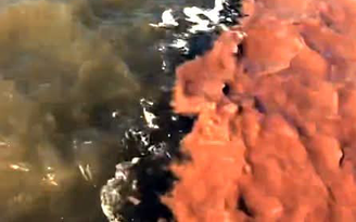 Đê biển Tây ở Cà Mau xuất hiện 2 màu nước kéo dài nhiều cây số