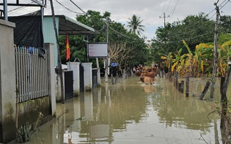 Gia Lai: Hàng chục hộ dân vẫn chưa thể về nhà do ngập lụt