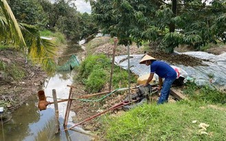 Xâm nhập mặn ở Nam bộ đạt đỉnh điểm trong tháng 3