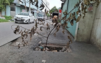 Hố ga nguy hiểm