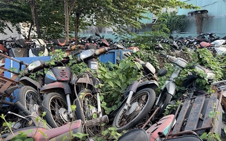 Cho bán ngay tang vật nếu không có nơi bảo quản?