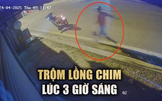 Đuổi bắt trộm lồng chim lúc 3 giờ sáng, chủ nhà bị té 'bầm dập'