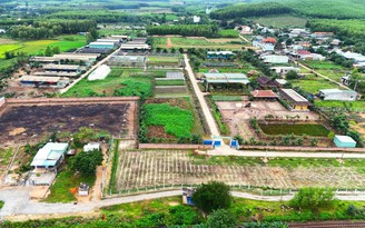 Dừng các hoạt động không đúng mục tiêu tại dự án sản xuất rau an toàn ở Bình Định