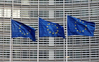 EU: Sau đối phó ngoài đến phòng ngừa trong