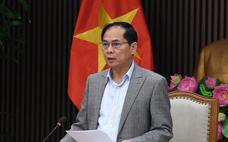 Phó thủ tướng: Nâng cấp hiệp định thương mại song phương với Mỹ