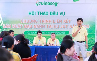 Vụ mới bắt đầu trên 'Cánh đồng đạm tự nhiên' ở Cư Jút