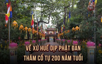 Vẻ đẹp cổ kính của chùa Diệu Đế - cổ tự 200 năm tuổi xứ Huế