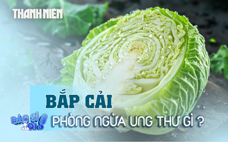Bắp cải phòng ngừa những bệnh ung thư nào?