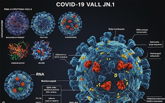 Vì sao biến thể Covid-19 JN.1 tồn tại dai dẳng?