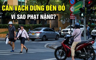 Lỡ dừng đèn đỏ cán vạch, tài xế vội lùi lại vì sợ bị phạt nặng như vượt đèn đỏ