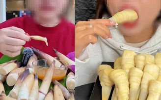 Cẩn trọng trào lưu trên mạng xã hội: Đua nhau 'mukbang' măng vầu ngọt, coi chừng...