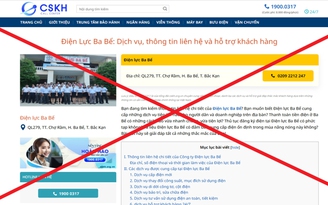 EVNNPC cảnh báo website giả mạo doanh nghiệp để lừa đảo khách hàng