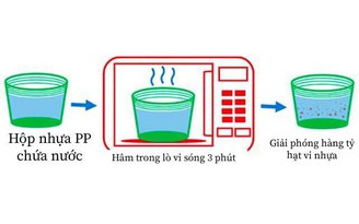 Dùng hộp nhựa hâm nóng thức ăn trong lò vi sóng: Có an toàn cho sức khỏe?