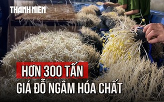 Cận cảnh hàng trăm tấn giá đỗ trắng nõn sau khi ngâm hóa chất
