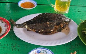 Chủ tịch tỉnh Khánh Hòa chỉ đạo ‘nóng’ vụ bán cá bò hòm 3,5 triệu đồng/kg