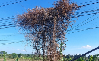 Nguy cơ cháy