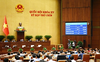 Chính phủ được ban hành nghị quyết để sửa luật