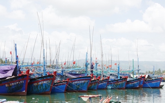 Chống khai thác IUU, Gia Lai buộc 650 tàu cá nằm bờ