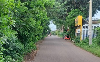 Cây xanh che khuất tầm nhìn