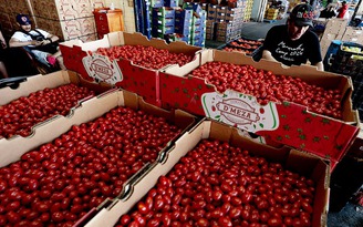 Mỹ giáng đòn mới lên Mexico, EU chuẩn bị đáp trả