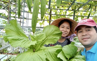 Mê trồng rau sạch từ thời ở trọ: Người đàn ông bội thu, tiết kiệm tiền chợ