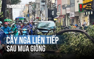 Cây ngã liên tiếp trên đường phố TP.HCM sau cơn mưa giông