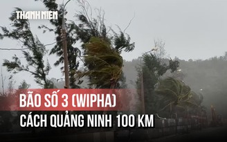 Bão số 3 (Wipha) cách Quảng Ninh 100 km, có khả năng mạnh thêm

