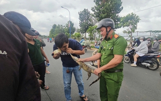 Dùng cần câu, thòng lọng bắt cá sấu dưới kênh Nước Đen ở TP.HCM