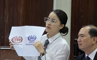 Nhựa Bình Minh đề nghị giám đốc thẩm vụ tranh chấp dấu hiệu 'BÌNH MINH'