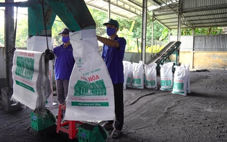 Hướng đi nông nghiệp xanh của các công ty cao su Việt Nam