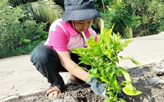 Những 'thiên thần nhỏ' gieo mầm yêu thương