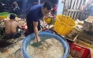 Công an TP.HCM phát hiện 3 cơ sở dùng hóa chất tẩy trắng bắp chuối