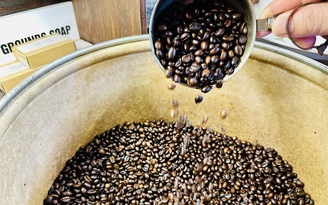 Đà phục hồi của giá cà phê sẽ kéo dài?