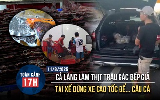 Toàn cảnh 17H: Cả làng sản xuất thịt trâu gác bếp giả | Danh tính tài xế dừng xe trên cao tốc để câu cá