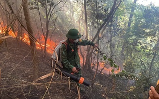 Cháy rừng phòng hộ ở khu vực Đèo Ngang