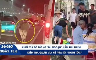 Xem nhanh 20h ngày 15.8: Khiếp vía bò ‘du ngoạn’ hầm Thủ Thiêm | Kiểm tra quán vỉa hè rửa tô ‘thần tốc’