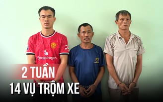 'Đạo chích' chuyên nghiệp, 2 tuần gây 14 vụ trộm xe ở TP.HCM