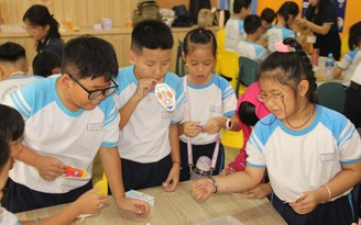 TP.HCM sau sáp nhập, phường/xã nào nhiều và ít trường học nhất?