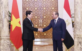 VN - Ai Cập nâng cấp quan hệ Đối tác toàn diện