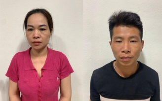 Thanh Hóa phá đường dây mua bán heo nhiễm bệnh dịch tả châu Phi