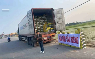 Sầu riêng xuất khẩu 'quay đầu' sẽ bị giám sát chặt