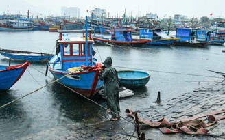 TP.Đà Nẵng chủ động ứng phó áp thấp nhiệt đới, cảnh báo giông sét