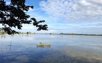 Miền Tây mùa nước lụt năm xưa: Cá rô đầy ruộng, người dân giăng lưới khắp đồng