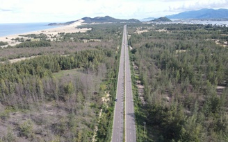 Gia Lai: Rừng dương chết hàng loạt, làng ven biển thấp thỏm trước gió cát