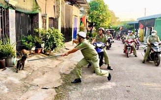 Tử vong vì chủ quan với chó nhà